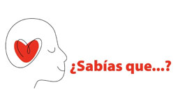Acompañamiento profesional